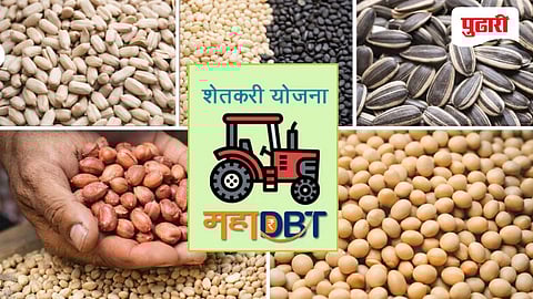 महा डीबीटीतून खरीप बी-बियाणे अनुदान; अर्ज प्रक्रिया सुरू