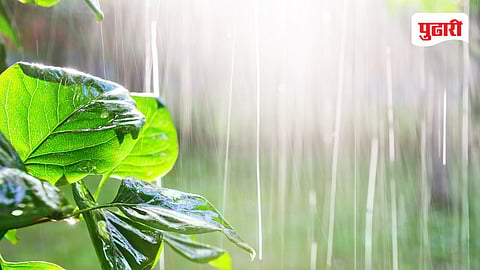 Unseasonal Rain Nashik