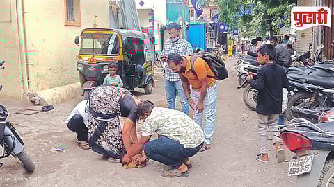 Pimpri Chinchwad Stray Dogs Health