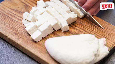 Paneer Labeling Rule