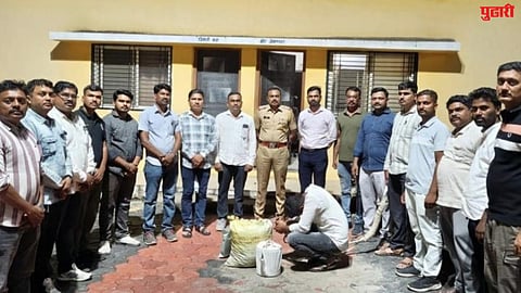 beed ganja sale news