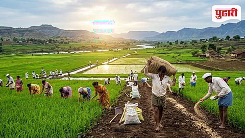 Kharif Season