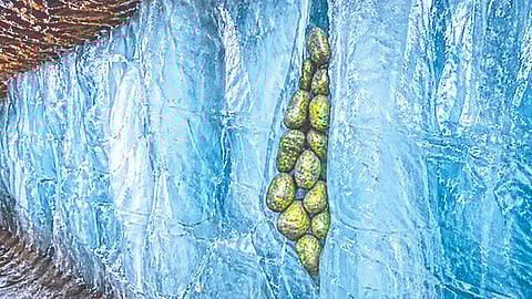 Largest uranium reserves world | 