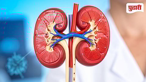 kidney problems summer