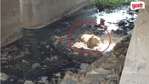  Body Found in Nara River Bridge