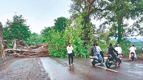Satara rain:  वादळी पावसामुळे ठिकठिकाणी पडझड