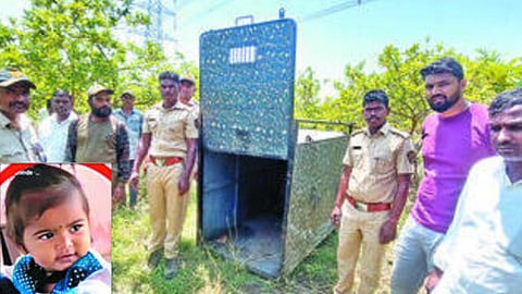 Nashik girl death leopard attack