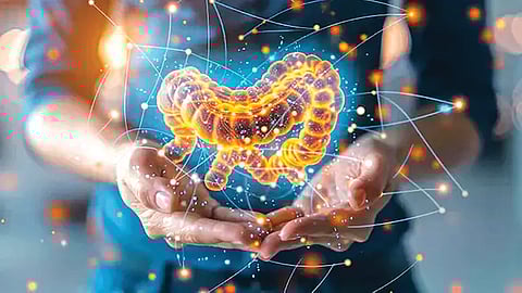 Gut bacteria stress link |