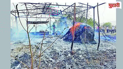 गोठ्याला आग लागून ७ जनावरे भस्मसात