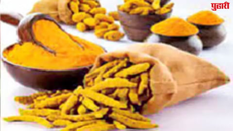 Hingoli APMC turmeric arrival issue