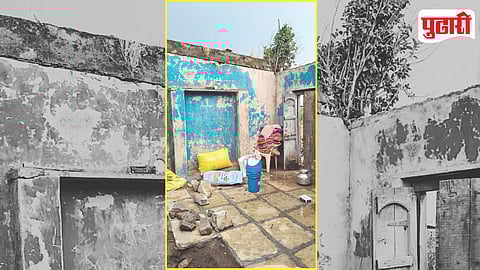 Maharashtra Unseasonal Rain Crop Damage