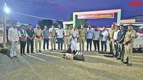 Illegal drugs seizure