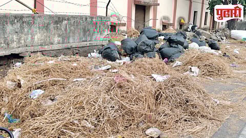 Pune Mango Festival Waste