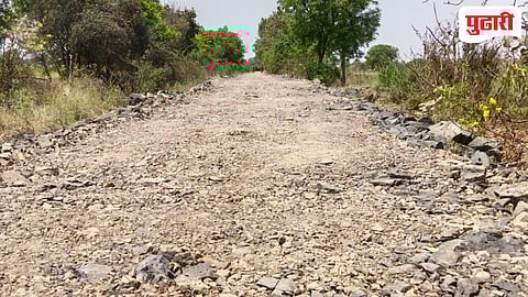 पांगरा गावशिवारात रोहयो योजनेअंतर्गत रस्ता कामांना गती