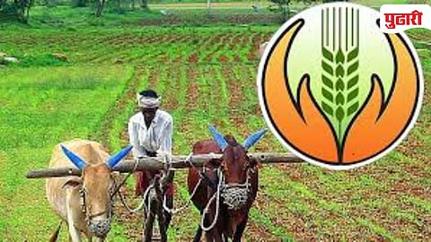 Crop Insurance Company Dispute