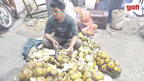 Tadgola Fruit Sales