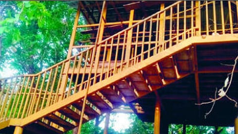 सावंतवाडी वन विभागाने नरेंद्र डोंगर येथे उभारलेल्या वन उद्यान प्रकल्पातील ट्री हाऊसचे काम
अर्धवट स्थितीत आहे.