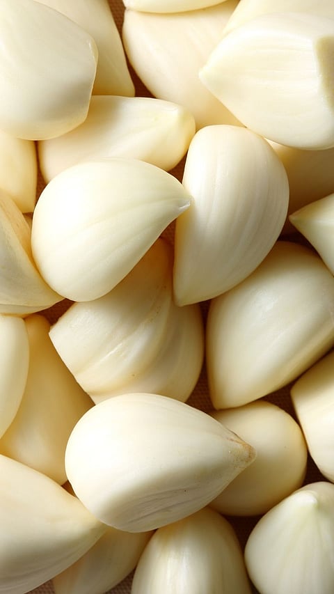 benefits of garlic