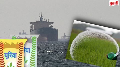 Fertilizer Shortage India 