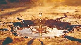 Low rainfall forecast  |