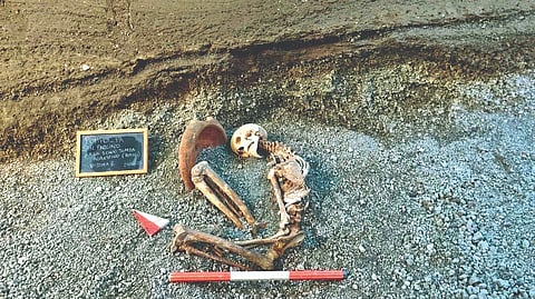 AI face by skeletan | 