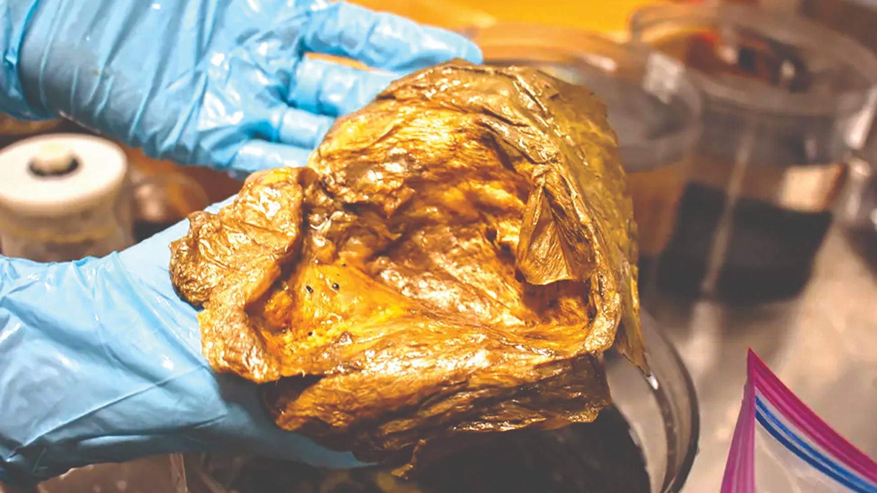 Deep sea mystery objects |