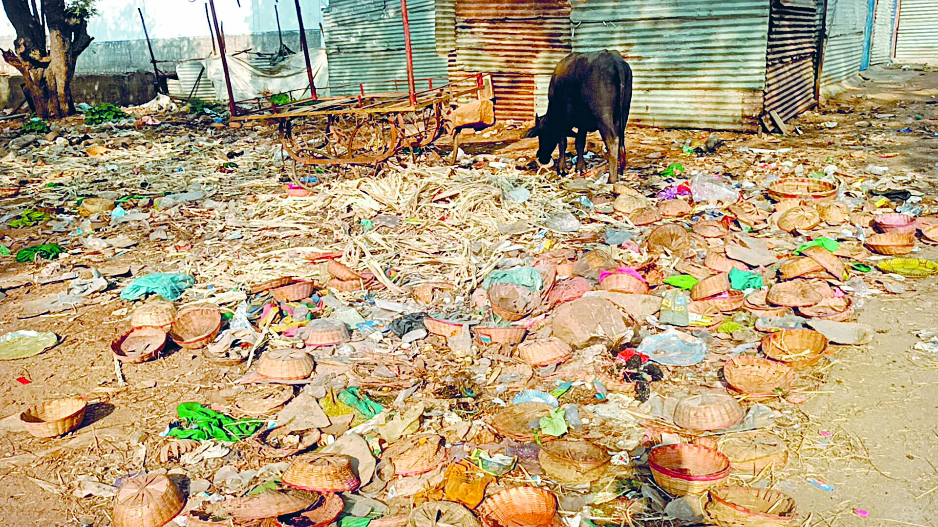 Saundatti News: यल्लम्मा डोंगर अस्वच्छतेच्या विळख्यात 