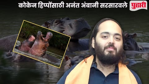 Anant Ambani save cocaine hippos