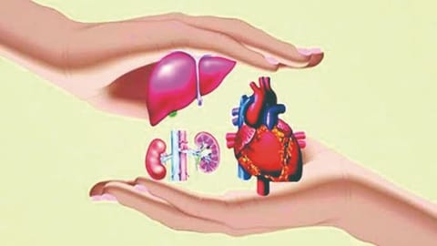Organ Transplant