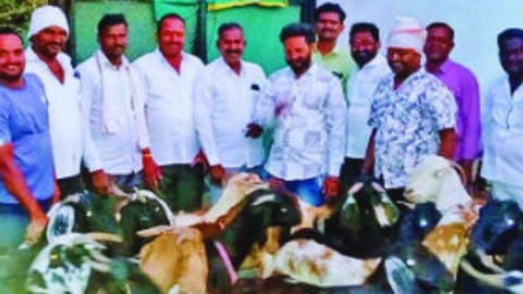 gangapur news