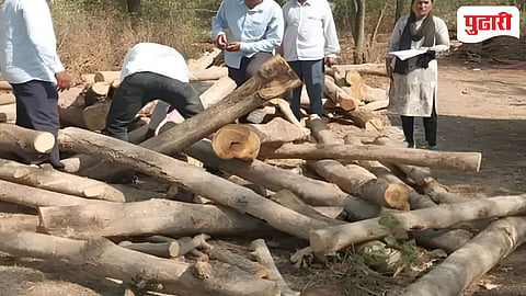 औंढा तालुक्यात वन विभागाची मोठी कारवाई ! 2 लाख 8 हजार रुपयांचा मुद्देमाल जप्त