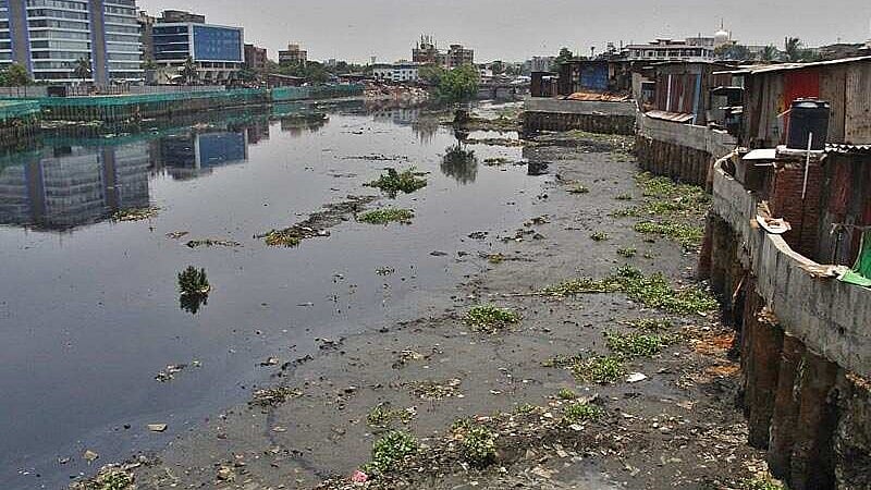 Thane Mithi River | मिठी नदी गाळ गैरव्यवहारातील दोन कंपन्यांचा ठाण्यात ...