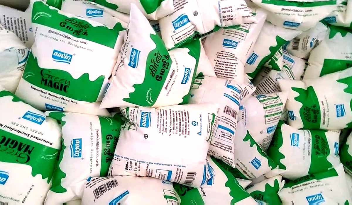 பசும் பாலா? பாக்கெட் பாலா? எது
சிறந்தது? என்ன சொல்கிறார்கள் நிபுணர்களும், மருத்துவர்களும்?