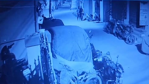 திருடர்கள்