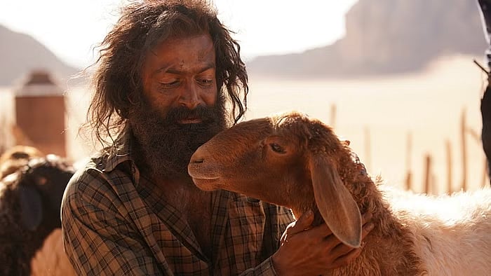 Aadujeevitham Review | நாம் எல்லோரும் ஒரு வகையில் இந்த ஆடுகள் தானோ... ஆடுஜீவிதம் ஒரு பார்வை..!