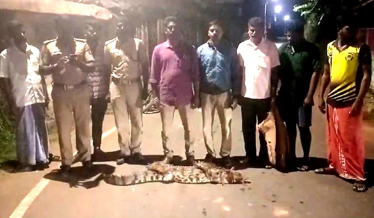 சிதம்பரம்: கொள்ளிடம் ஆற்றின் கரையோர கிராமங்களுக்குள் புகுந்த முதலைகள் - வனத்துறை எச்சரிக்கை | Forest department alert to villagers on Crocodiles