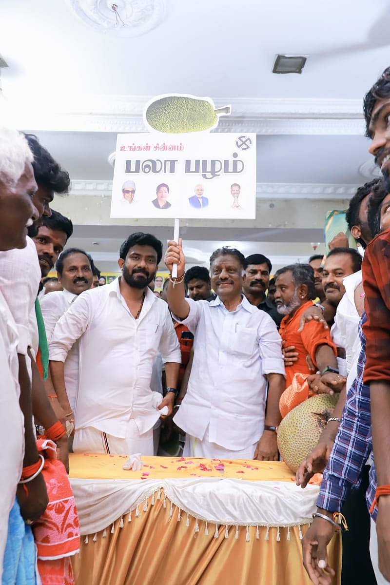 ஹேப்பி மோடில் ஓபிஎஸ்... அதிமுக சின்னம் போன்று சமூக வலைதளங்களில் பரப்பப்படும் பலாப்பழ சின்னம் / OPS supporters share jack fruit symbol as like ADMK 