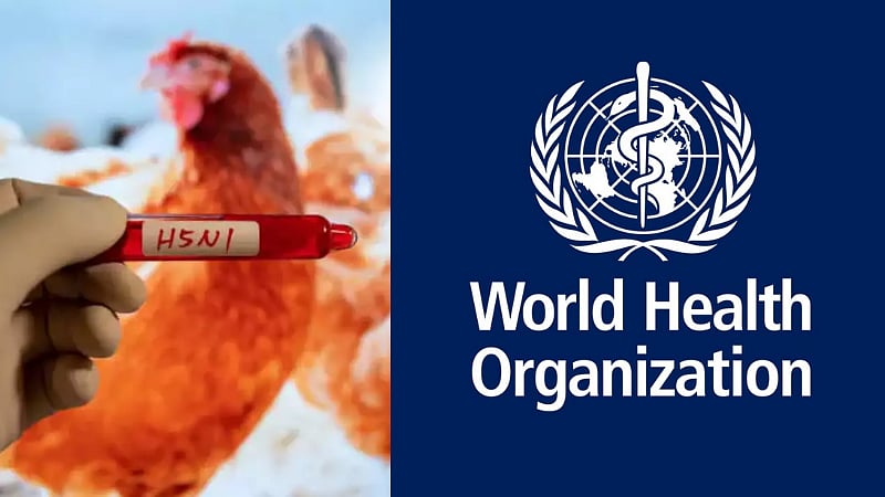 WHO warns on Bird flu as it spreads rapidly in United States | அமெரிக்காவில் வேகமாக பரவிவரும் பறவைக்காய்ச்சல்; எச்சரிக்கை விடுக்கும் WHO