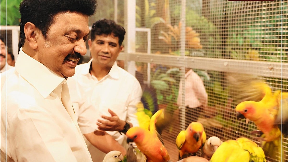 இந்தி திணிப்பை கைவிட வேண்டும்... இதுதான் என்னுடைய பிறந்தநாள் வாழ்த்து செய்தி – முதல்வர் ஸ்டாலின் Abandon Hindi imposition...  – Chief Minister Stalin