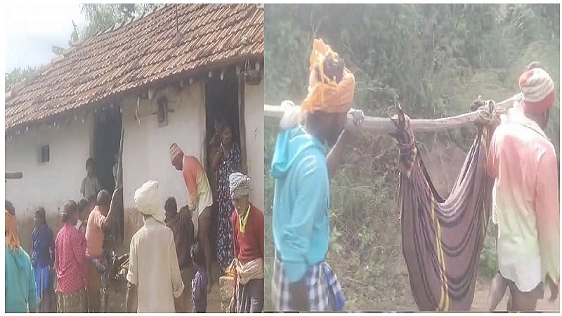 மருத்துவ வசதி இல்லாமல் பாம்பு கடித்து 13 வயது சிறுமி உயிரிழப்புPennagaram A 13-year-old girl died after being bitten by a snake without medical care