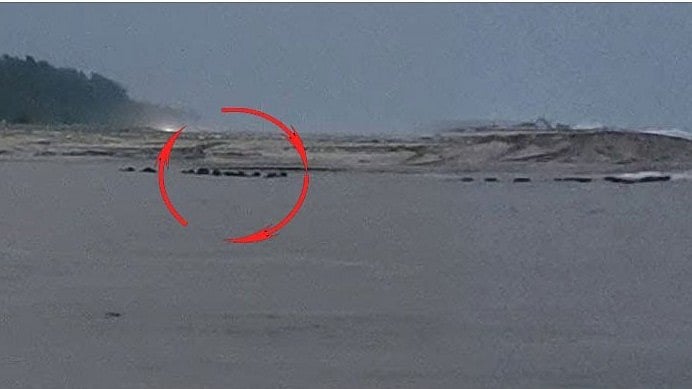 கனமழை காரணமாக கடலூரில் கடலுக்குள் இழுத்துசெல்லப்பட்ட 32 மாடுகள் / 32 cows were dragged into the sea in Cuddalore due to heavy rains