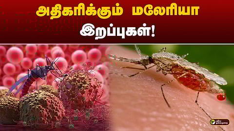 மலேரியா