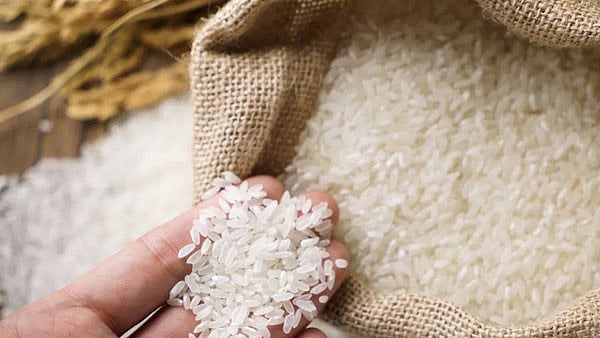 9,000 ஆண்டுகளுக்கு முன் இந்தியாவில் அரிசி சாகுபடி.. ஆராய்ச்சியில் தகவல்!