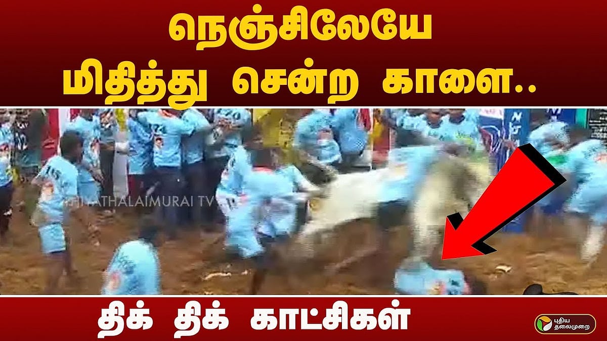 அலங்காநல்லூர் ஜல்லிக்கட்டு 2025 / alanganallur jallikattu 2025 update