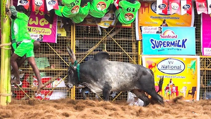 வேடிக்கை பார்த்த நபர் உட்பட ஜல்லிக்கட்டில் பரிதாப மரணமடைந்த 7 பேர்/7 were death in  tn jallikattu