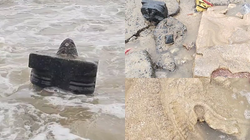கடற்கரையில் ஒதுங்கி கிடந்த சிங்க உடல் சிலை/A lion statue lying on the Thiruchendur beach