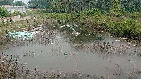 குட்டையில் தேங்கிய நீர்