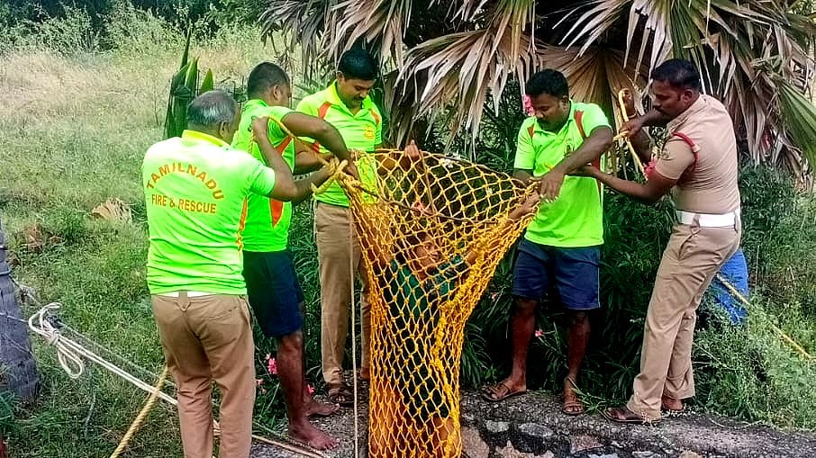 நெல்லை |வயலுக்குச் சென்றபோது கிணற்றில் தவறி விழுந்த பெண் பத்திரமாக மீட்பு Nellai: A woman who fell into a well was rescued safely