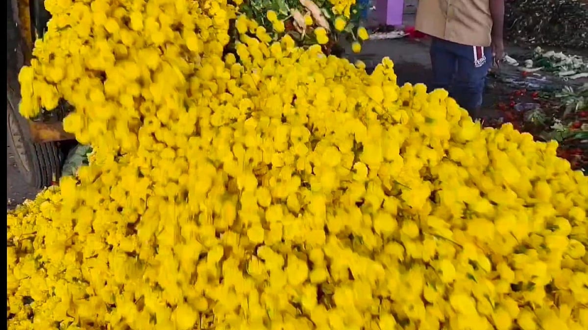 தேனி | அமோக விளைச்சல்... அநியாய விலை – டன் கணக்கில் குப்பையில் கொட்டப்படும் செண்டு மல்லி பூக்கள் Theni | flowers thrown in garbage