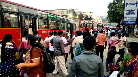 மாநகரப் பேருந்துகள்